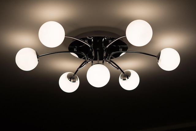 imgi_333_ceiling-lamp-335975_640